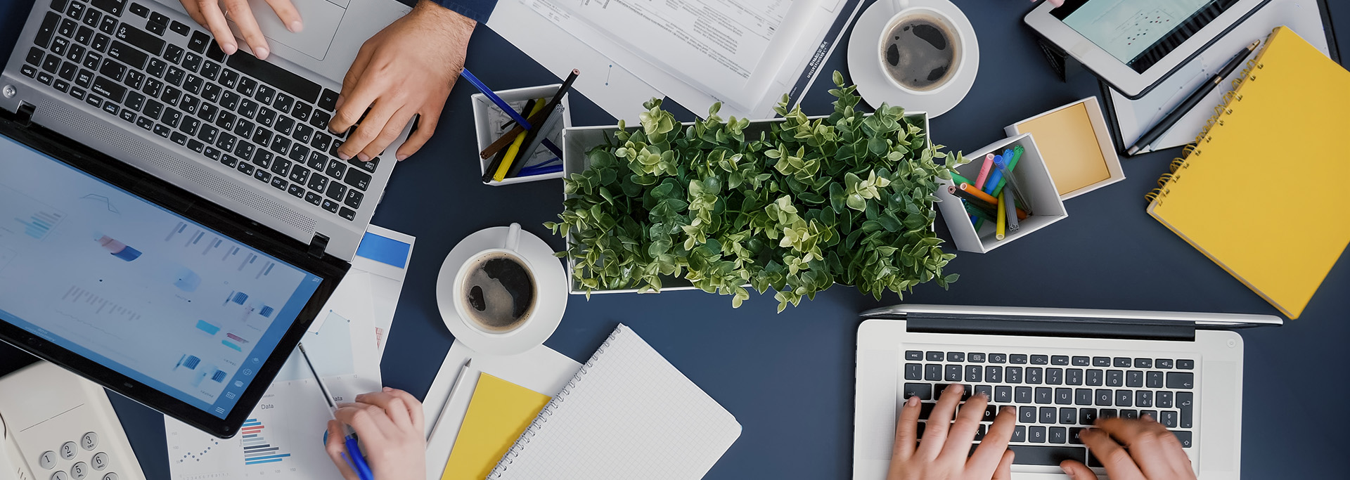 Nos collaborateurs Cliken WEB